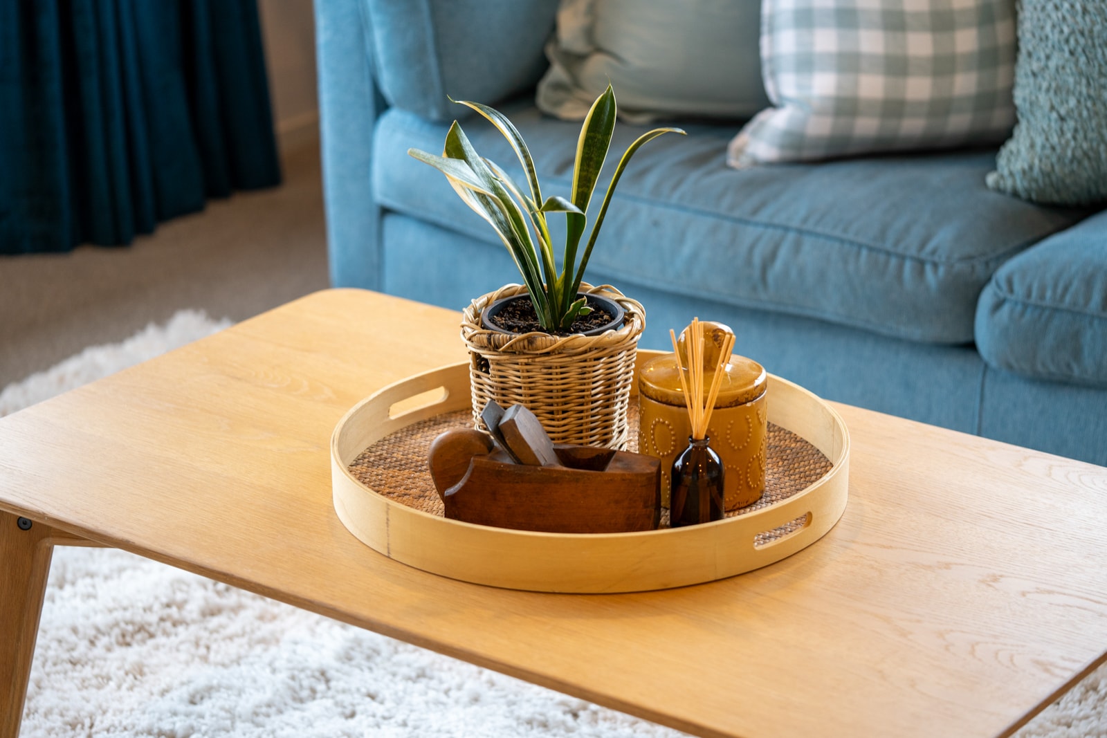 Potted plant styled on a decorative tray in a living room